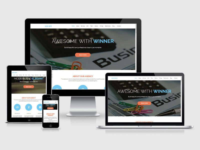 Winner - Multi-Purpose HTML Template